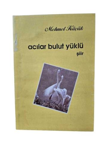 ACILAR BULUT YÜKLÜ (İMZALI ) - 0