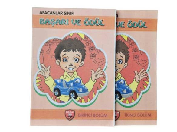 AFACANLAR SINIFI / BAŞARI VE ÖDÜL 2 KİTAP - 0