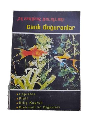AKVARYUM BALIKLARI CANLI DOĞURANLAR - 0