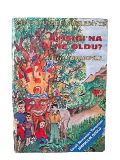 AYIŞIĞINA NE OLDU