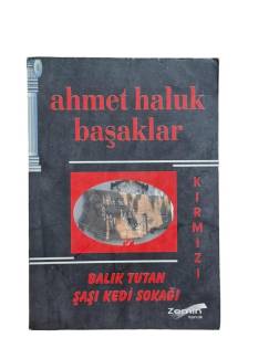 BALIK TUTAN ŞAŞI KEDİ SOKAĞI - KIRMIZI