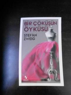 BİR ÇÖKÜŞÜN ÖYKÜSÜ