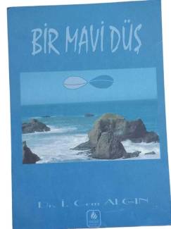 BİR MAVİ DÜŞ