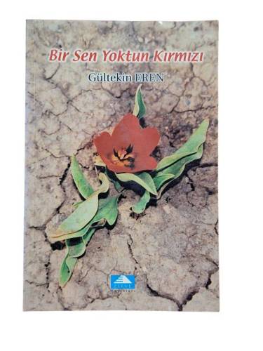 BİR SEN YOKTUN KIRMIZI - 0
