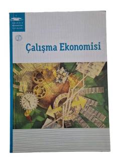 ÇALIŞMA EKONOMİSİ