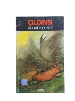 ÇILGINSI