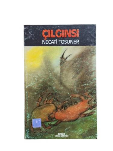 ÇILGINSI - 0