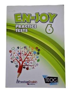 ENJOY PRACTICE TESTS 6. SINIF