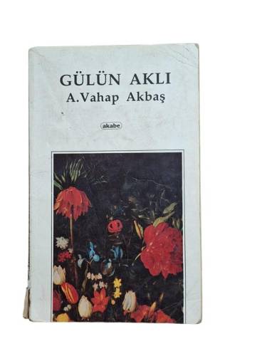 GÜLÜN AKLI - 0