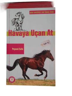 HAVAYA UÇAN AT