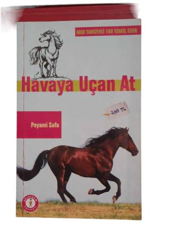 HAVAYA UÇAN AT - 0