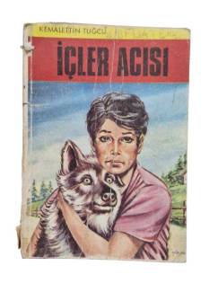İÇLER AÇISI