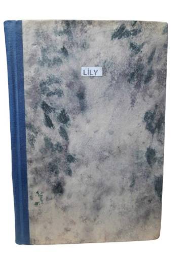 LİLY - 0
