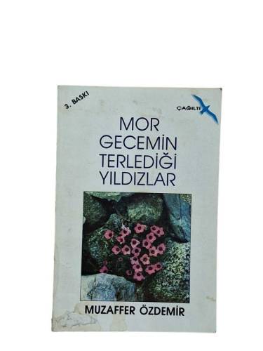 MOR GECEMİN TERLEDİĞİ YILDIZ - 0