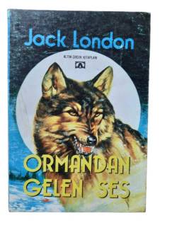 ORMANDAN GELEN SES
