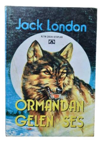 ORMANDAN GELEN SES - 0