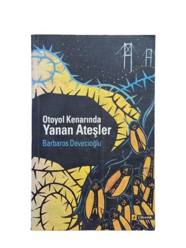 OTOYOL KENARINDA YANAN ATEŞLER - 0