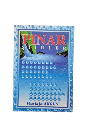 PINAR - 0