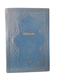 PINAR AYLIK KÜLTÜR VE SANAT DERGİSİ 1977 CİLT:VI(6) SAYI:61-72 (12 SAYI)