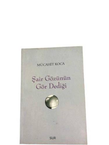 ŞAİR GÖZÜNÜN GÖR DEDİĞİ - 0