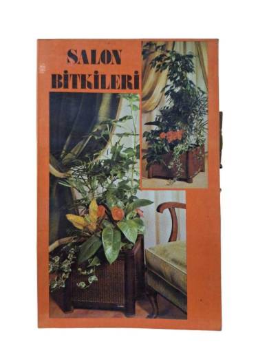 SALON BİTKİLERİ - 0
