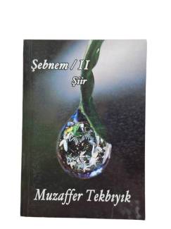 ŞEBNEM 2 ŞİİR