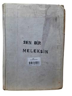 SEN BİR MELEKSİN