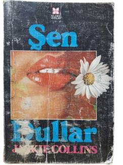 ŞEN DULLAR