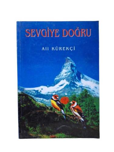 SEVGİYE DOĞRU - 0