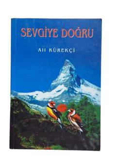 SEVGİYE DOĞRU