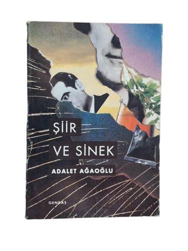 ŞİİR VE SİNEK - 0