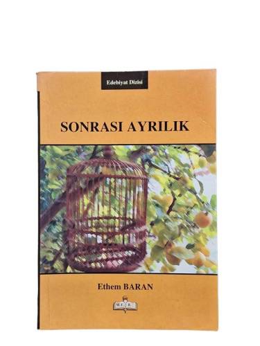 SONRASI AYRILIK - 0