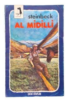 STEINBECK - AL MİDİLLİ