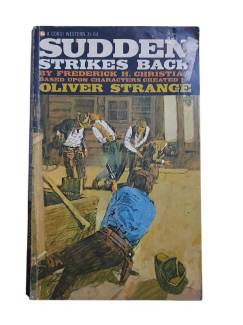 SUDDEN STRİKES BACK