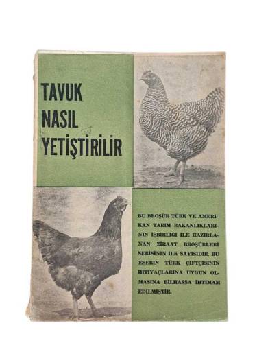 TAVUK NASIL YETİŞTİRİLİR - 0