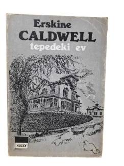 TEPEDEKİ EV