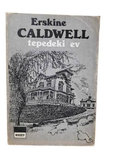 TEPEDEKİ EV - 0