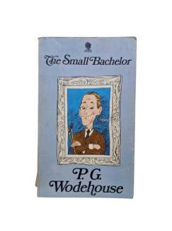 THE SMALL BACHELOR