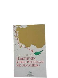 TÜRKİYE'NİN KIBRIS POLİTİKASI NE OLMALIDIR?