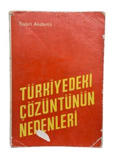 TÜRKİYEDEKİ ÇÖZÜNTÜNÜN NEDENLERİ