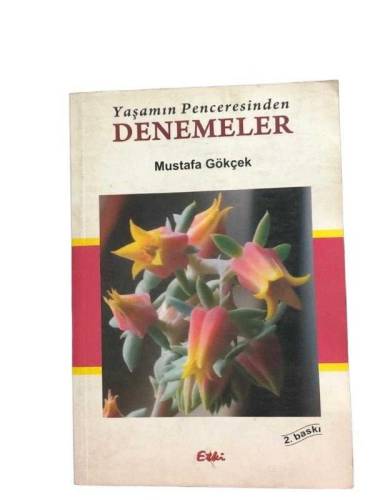 YAŞAMIN PENCERESİNDEN DENEMELER - 0