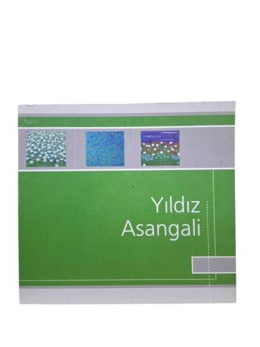 YILDIZ ASANGALİ '' NEŞELİ BENEKLER '' RESİM SERGİSİ 1-14 HAZİRAN 2006 SANKT-PETERSBURG - 0