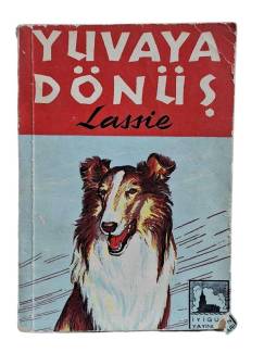 YUVAYA DÖNÜŞ LASSİE